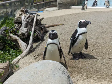 仙台うみの杜水族館に投稿された画像（2024/6/16）