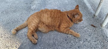 宇都宮動物園に投稿された画像（2024/6/16）