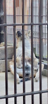 宇都宮動物園に投稿された画像（2024/6/16）