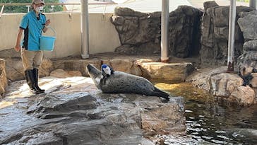 しながわ水族館に投稿された画像（2024/6/16）