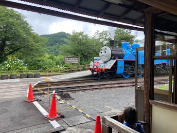 大井川鐵道株式会社に投稿された画像（2024/6/16）