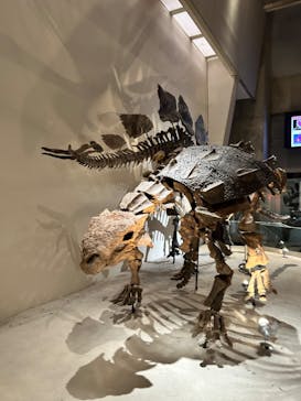 国立科学博物館に投稿された画像（2024/6/16）