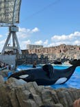 名古屋港水族館に投稿された画像（2024/6/16）