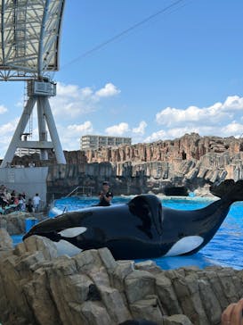 名古屋港水族館に投稿された画像（2024/6/16）