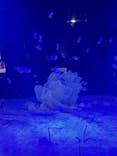 竹島水族館に投稿された画像（2024/6/16）