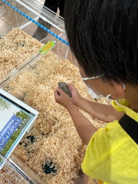 いきもの探検隊上尾に投稿された画像（2024/6/16）