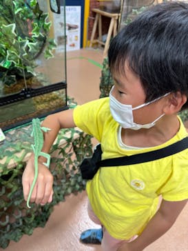 いきもの探検隊上尾に投稿された画像（2024/6/16）