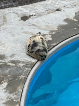 鴨川シーワールドに投稿された画像（2024/6/16）