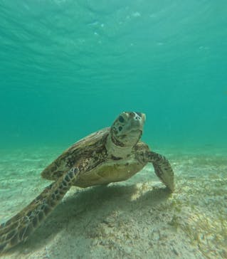 nico 宮古島に投稿された画像（2024/6/16）