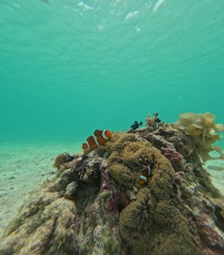 nico 宮古島に投稿された画像（2024/6/16）