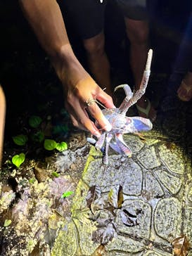 宮古島マリン SUGAR3（シュガースリー）に投稿された画像（2024/6/16）