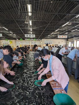 土肥金山に投稿された画像（2024/6/16）