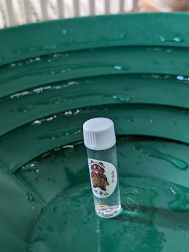 土肥金山に投稿された画像（2024/6/16）