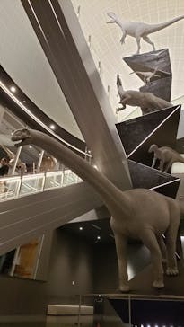 福井県立恐竜博物館に投稿された画像（2024/6/16）