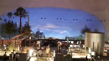 福井県立恐竜博物館に投稿された画像（2024/6/16）