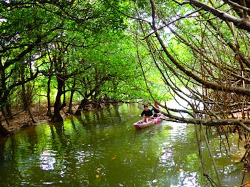 石垣島 ADVENTURE PiPi（イシガキジマアドベンチャーピピ）に投稿された画像（2024/6/16）