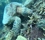 宮古島 ADVENTURE PiPi（ミヤコジマ アドベンチャー ピピ）に投稿された画像（2024/6/16）