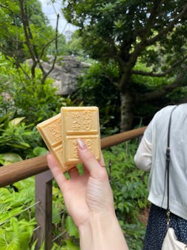 到津の森公園に投稿された画像（2024/6/16）