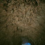 おきなわワールドに投稿された画像（2024/6/16）