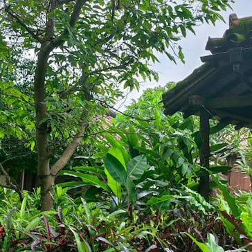 おきなわワールドに投稿された画像（2024/6/16）