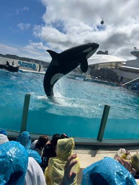 鴨川シーワールドに投稿された画像（2024/6/16）