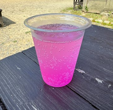 野外民族博物館 リトルワールドに投稿された画像（2024/6/16）