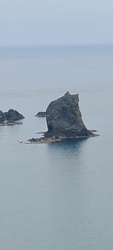 礼文ハイヤーに投稿された画像（2024/6/16）