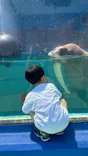 ゼロ距離水族館 伊勢シーパラダイスに投稿された画像（2024/6/16）