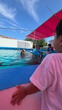 ゼロ距離水族館 伊勢シーパラダイスに投稿された画像（2024/6/16）