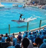 鴨川シーワールドに投稿された画像（2024/6/16）