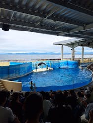 新江ノ島水族館に投稿された画像（2024/6/16）
