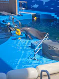 仙台うみの杜水族館に投稿された画像（2024/6/16）