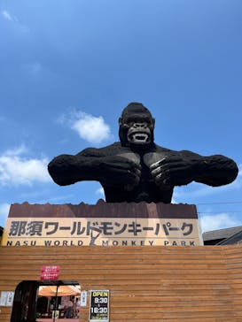 那須ワールドモンキーパークに投稿された画像（2024/6/16）