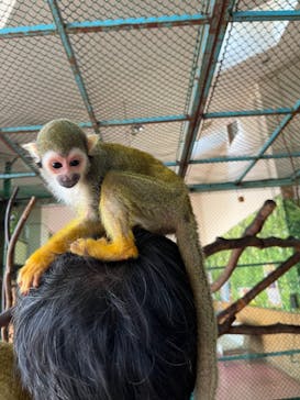 那須ワールドモンキーパークに投稿された画像（2024/6/16）