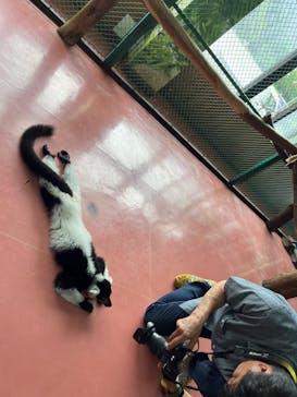 那須ワールドモンキーパークに投稿された画像（2024/6/16）