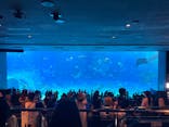 沖縄美ら海水族館に投稿された画像（2024/6/16）