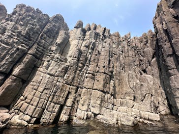 東尋坊観光遊覧船株式会社に投稿された画像（2024/6/16）