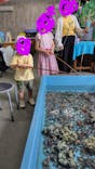 すさみ町立エビとカニの水族館に投稿された画像（2024/6/17）