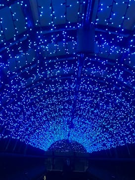 大江戸温泉物語 箕面温泉スパーガーデンに投稿された画像（2024/6/16）