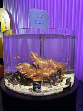 NIFREL（ニフレル）に投稿された画像（2024/6/16）