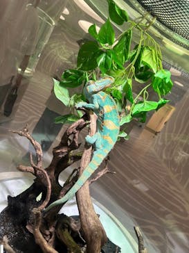 NIFREL（ニフレル）に投稿された画像（2024/6/16）