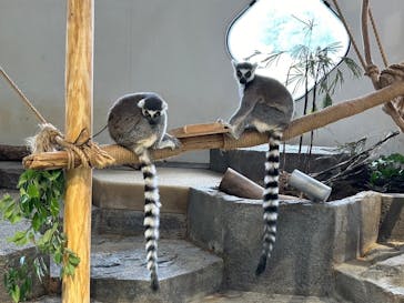 NIFREL（ニフレル）に投稿された画像（2024/6/16）