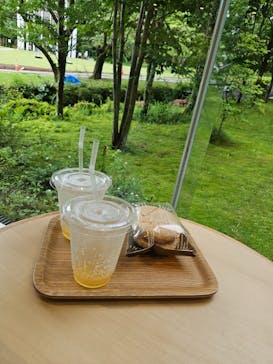 彫刻の森美術館に投稿された画像（2024/6/16）