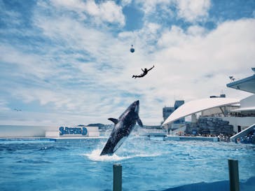 鴨川シーワールドに投稿された画像（2024/6/16）