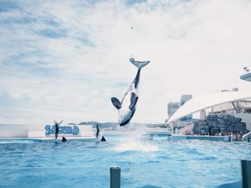 鴨川シーワールドに投稿された画像（2024/6/16）