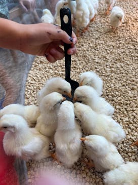 Moff animal cafe MARKIS 福岡ももち店に投稿された画像（2024/6/16）