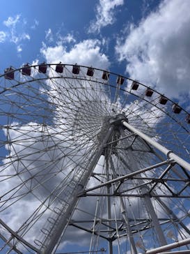 日本モンキーパークに投稿された画像（2024/6/16）