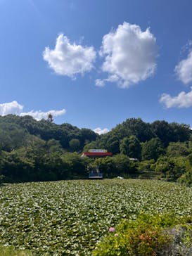 日本モンキーパークに投稿された画像（2024/6/16）