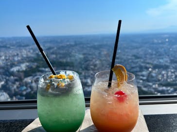 横浜ランドマークタワー 69階展望フロア スカイガーデンに投稿された画像（2024/6/16）