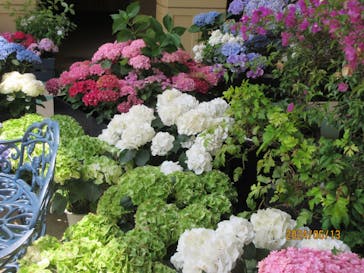 レオマリゾートに投稿された画像（2024/6/17）